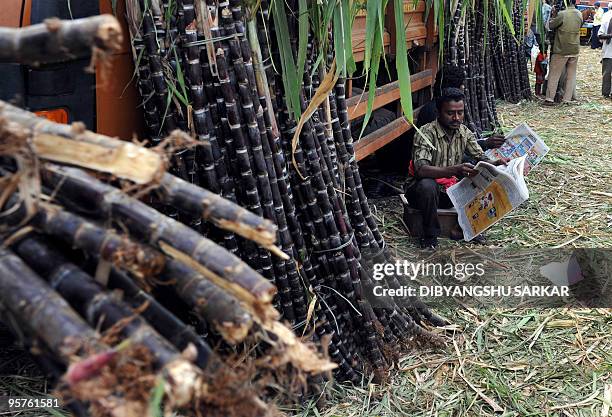 Indian sugarcane vendors wait for customers for the celebration of the festival of Pongal, at the main wholesale market in Bangalore, on January 14,...