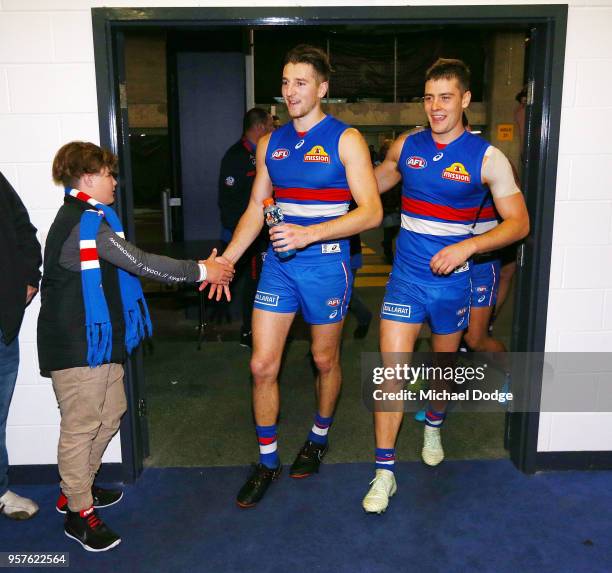 Bulldogs fan celebrates the win Marcus Bontempelli and Josh Dunkley of the Bulldogs during the round eight AFL match between the Western Bulldogs and...