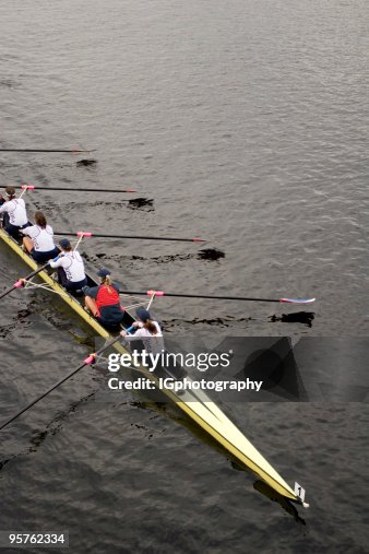Boston Rowing Scene Rowing Team Rowing On Charles River In Boston High-Res Stock Photo ...
