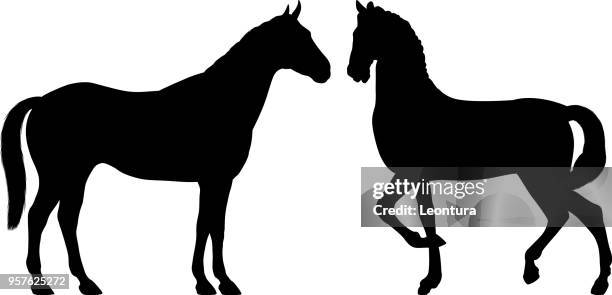 horses - horse silhouette stock illustrations