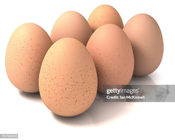 half a dozen brown eggs - dozen eggs stock illustrations