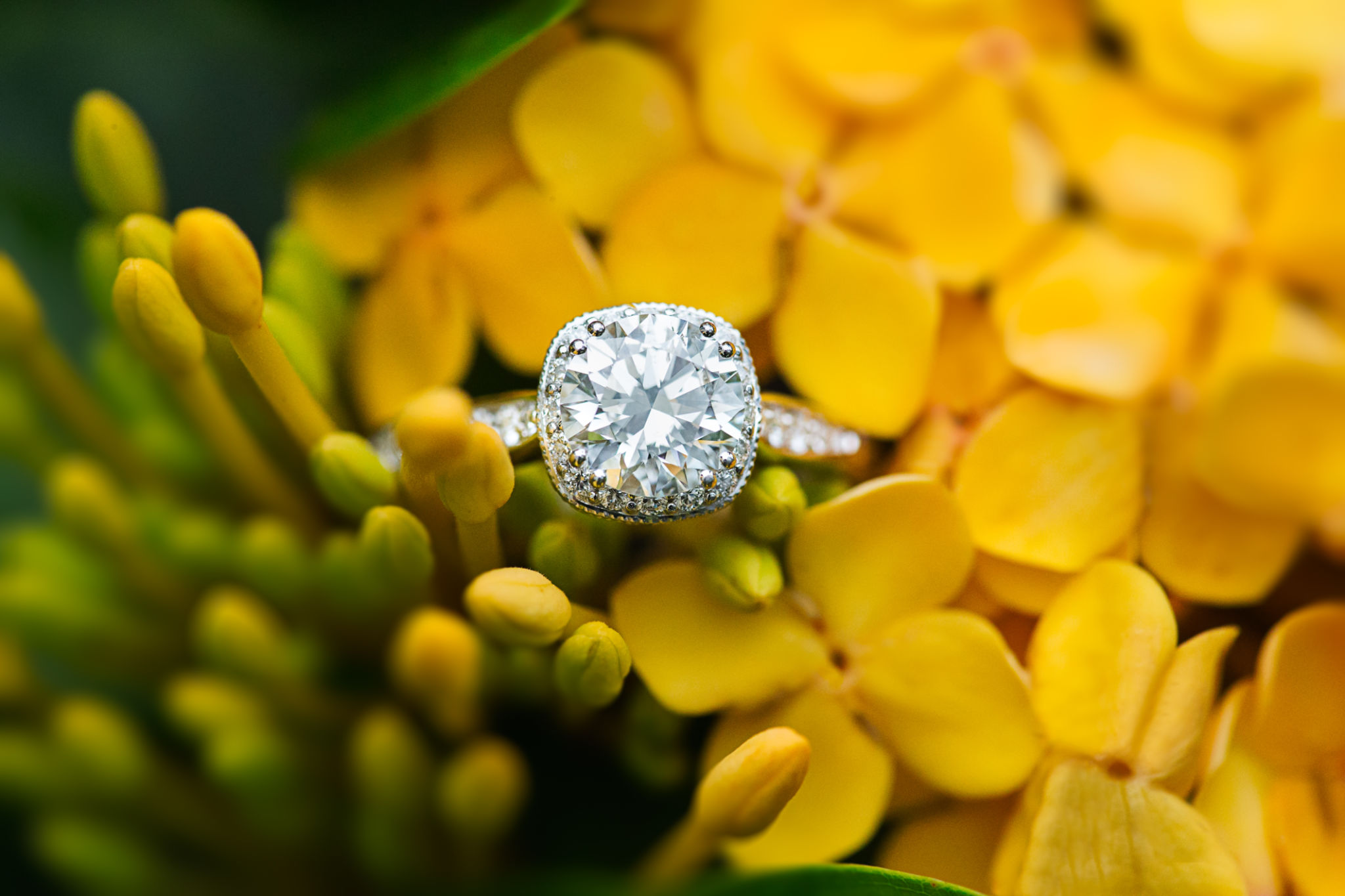 floral jewellery