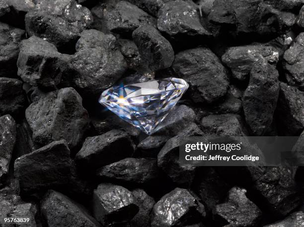 diamond on coal - diamante foto e immagini stock