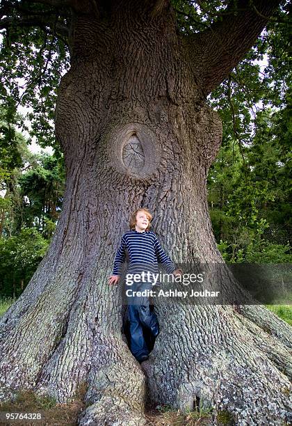 boy (9-11) standing at the foot of huge tree  - ashley jouhar imagens e fotografias de stock