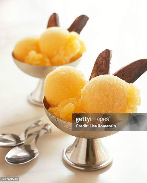 clementine sorbetto with chocolate biscotti - fruit sorbet stock pictures, royalty-free photos & images