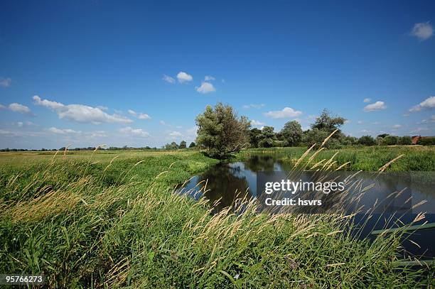 river landscape on havel (brandenburg) - erholung stockfoto's en -beelden