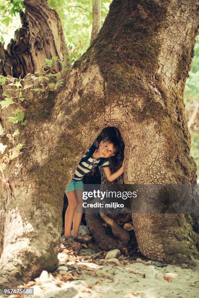 little boy exploring nature while hiking - miljko stock pictures, royalty-free photos & images