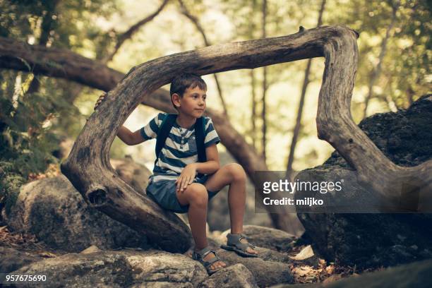little boy exploring nature while hiking - miljko stock pictures, royalty-free photos & images