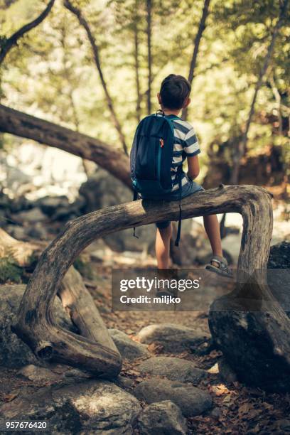 little boy exploring nature while hiking - miljko stock pictures, royalty-free photos & images