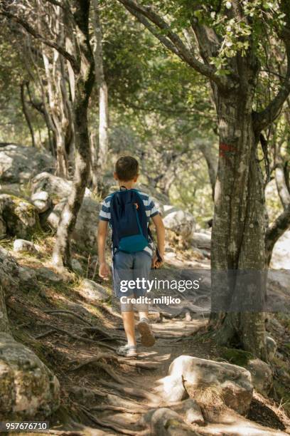 little boy exploring nature while hiking - miljko stock pictures, royalty-free photos & images