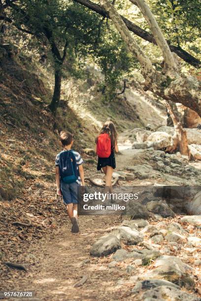 little boy and girl exploring nature while hiking - miljko stock pictures, royalty-free photos & images