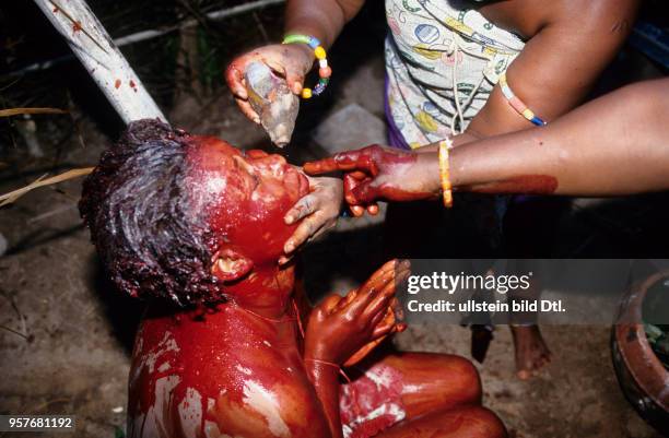 Mami Wata healing ceremony to cure two girls of their bad luck. After the blood bath the juice of a giant snail is dropped into her eyes so that she...