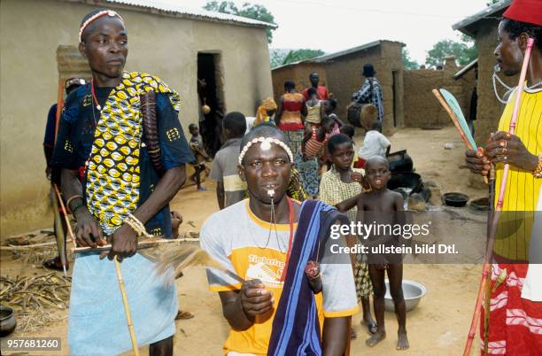 Benin, Sombaland in the north of Benin: Freshly circumcised men all wearing a penis sheath.