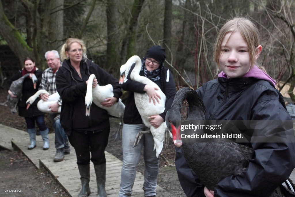 EU; DEU; Germany; NRW; Hattingen: the nursing ward for eagles and hawks Paasmuehle