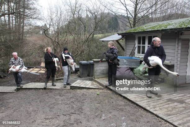 Germany; NRW; Hattingen: the nursing ward for eagles and hawks Paasmuehle