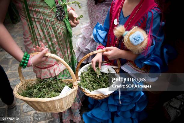 Two girls wearing the typical dress holding baskets with rosemary during the procession of El Rocio in Granada. The Romeria del Rocio is one of the...