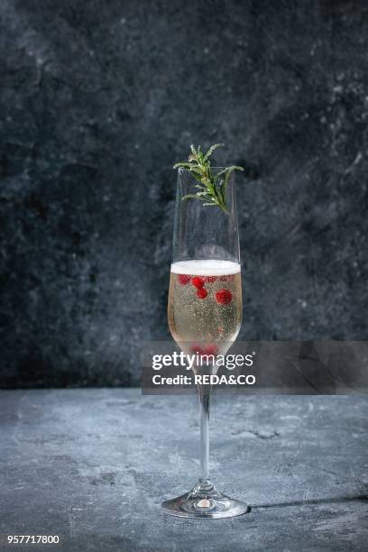 One glass of white champagne served with red berries and rosemary over blue texture background. Copy space.