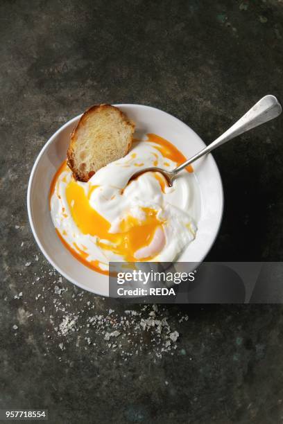 Poached egg on yogurt sauce with spicy olive oil, salt, spoon and roasted bread served in white plate over old dark metal background. Top view, copy...
