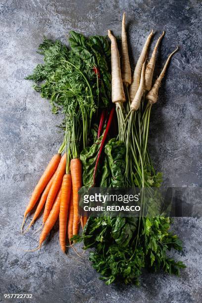 Bundle of fresh organic carrot, parsnip with haulm and chard mangold over gray texture background. Top view with space.