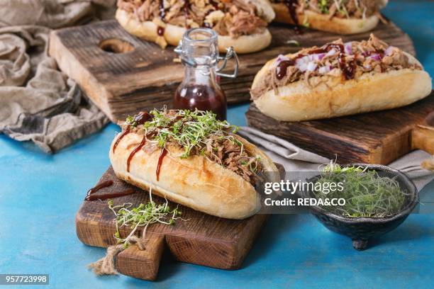 Variety of pulled pork sandwiches with meat, fried onion, green sprouts and bbq ketchup, served on wood cutting board with small bottle of tomato...