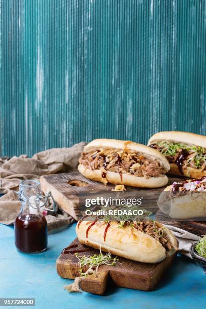 Variety of pulled pork sandwiches with meat, fried onion, green sprouts and bbq ketchup, served on wood cutting board with small bottle of tomato...