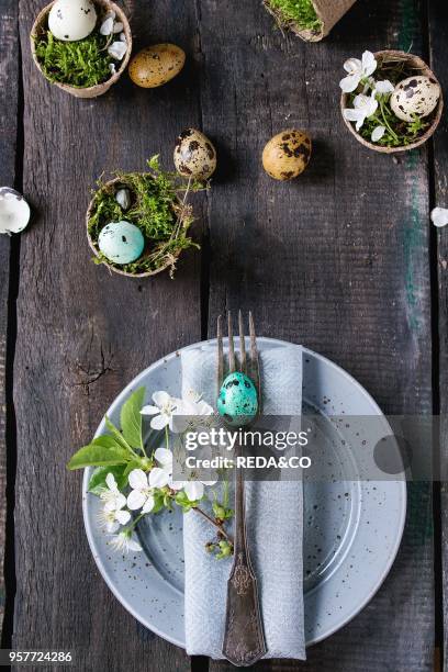 Table setting decor colorful Easter quail eggs with spring cherry flowers, moss in garden pots, empty plates, cutlery over old wood background. Dark...