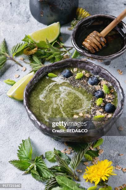 Spring green nettle and dandelion smoothie bowl served with lime, yellow flowers, young leaves, oat flakes, chia seeds, blueberries, cream and honey...