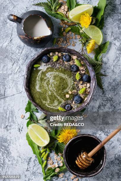 Spring green nettle and dandelion smoothie bowl served with lime, yellow flowers, young leaves, oat flakes, chia seeds, blueberries, cream and honey...