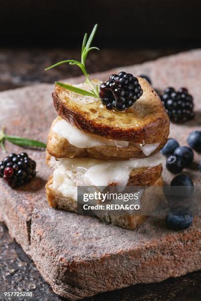 Grilled sandwich with melted goat cheese, blackberry, blueberry, rosemary and honey, served on terracotta board over dark background. Summer...