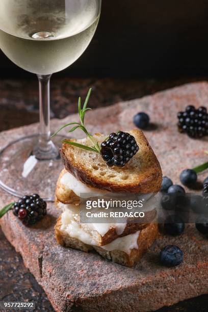 Grilled sandwich with melted goat cheese, blackberry, blueberry, rosemary and honey, served on terracotta board with glass of cold white wine over...