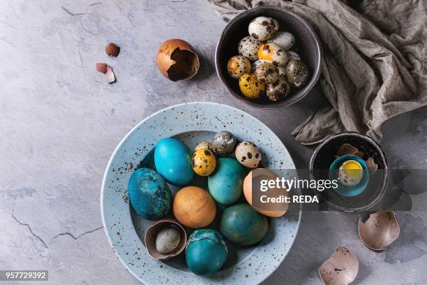 Colored Easter blue brown chicken and quail eggs, whole and broken with yolk in shell in spotted plate and black bowls with textile over gray...