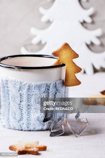 Shortbread Christmas cookies for cups, vintage cup of hot tea in knitted cup holder, cinnamon sticks and sugar powder over table with white...
