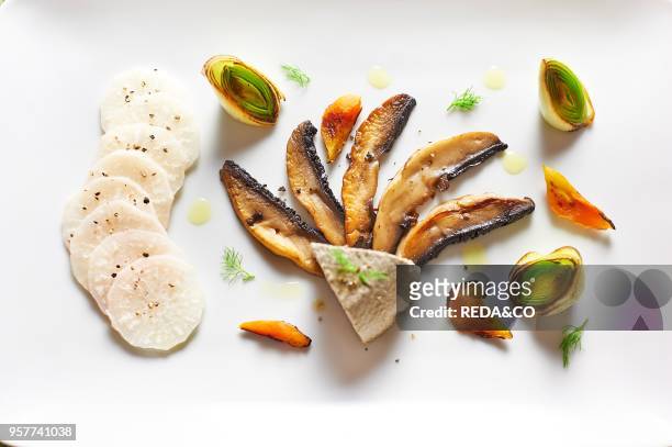 Hemp Tofu with Porcini Mushroom. Marinated Daikon. Blanched Leek and Carrot.