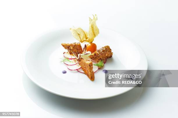 Tempeh Marinated in Mustard. Radish Slices Seasoned with Umeboshi Acidulated. Served with Radicchio and Alchechengi.