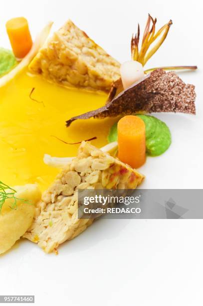 Temphe with Saffron. Carrots. Artichoke. Daikon Pea Cream. Italy. Europe. .