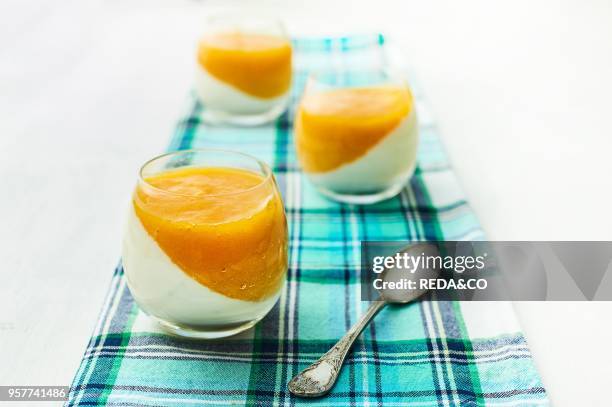 Mangos Panna Cotta. Italy. Europe.