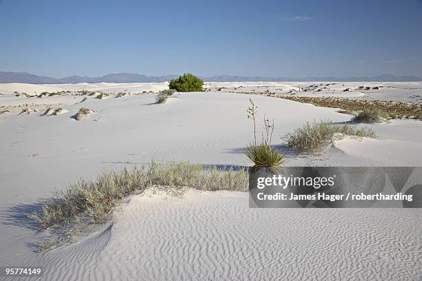 sand dunes, white sands national monument, new mexico, united states of america, north america - white sand dune stock pictures, royalty-free photos & images