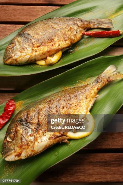 Gilthead Bream with Spices. Italy.