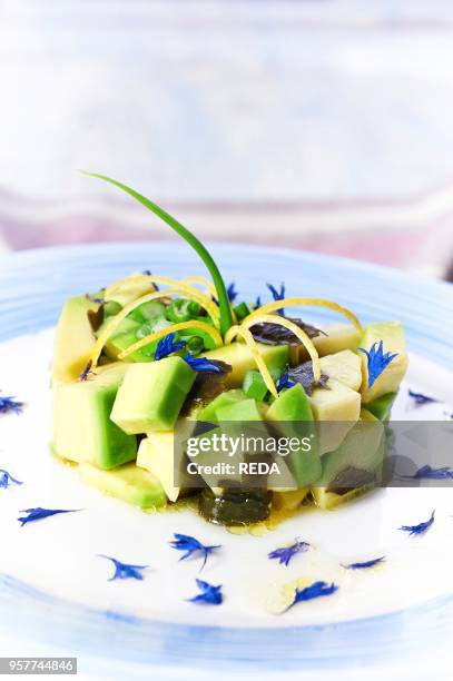 Avocado Tartare with Kombu Algae.