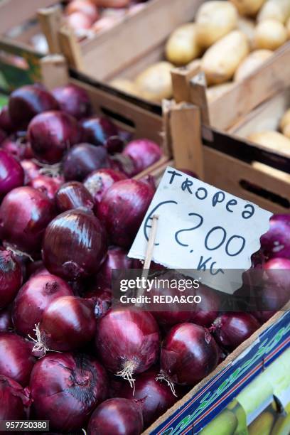 Tropea Onion At Fish Market Called Piscaria Catania. Sicily. Italy. Europe.