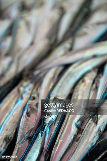 Aguglia Fish. Fish Market Called Piscaria. Catania. Sicily. Italy. Europe.