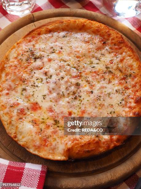 Pizza Margherita. With Mozzarella Cheese. Tomato Sauce and Oregano. Italy.