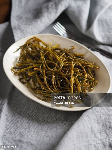 Salicornia Europaea. Known As Common Glasswort Or French Name. Herbe De Saint-pierre. Italy. Europe.