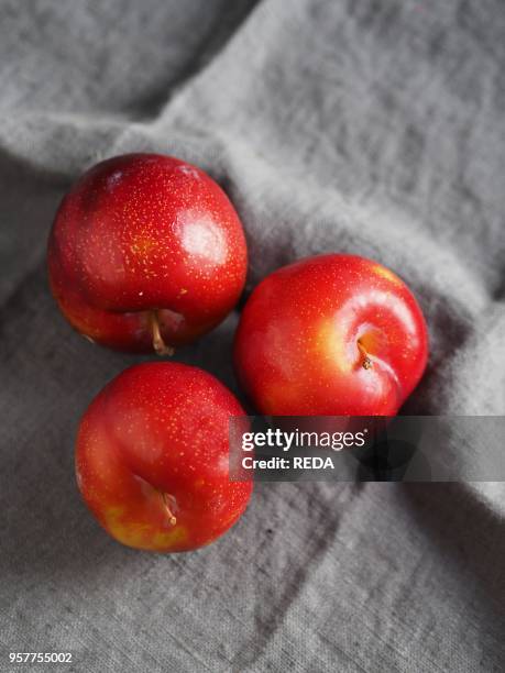 Red Plums. Sangue Di Drago. Italy. Europe.