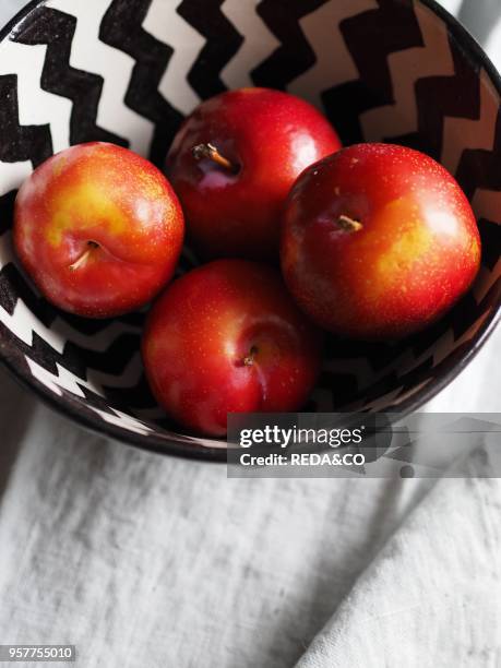 Red Plums in a Bowl. Sangue Di Drago. Italy. Europe.