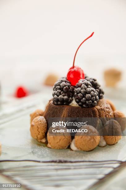 Christmas Tiramisu Dessert with Baileys Liqueur. Mulberry. Candied Cherries. Ganache of Dark Chocolate and Amaretto Elderberry.