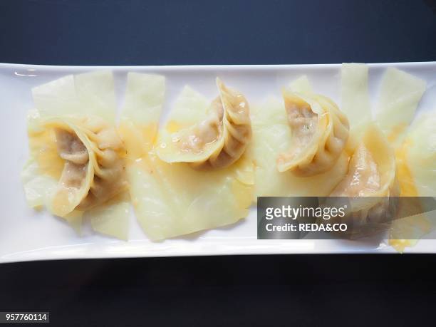 Steamed Vegetables Dumplings. Lombardy. Italy. Europe.