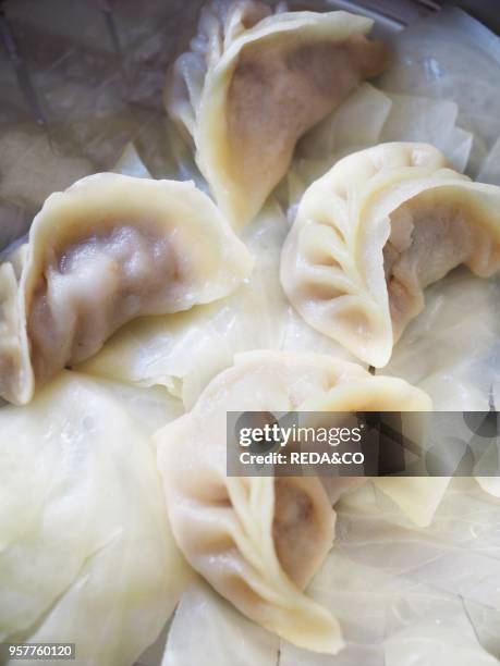 Steamed Vegetables Dumplings. Lombardy. Italy. Europe.