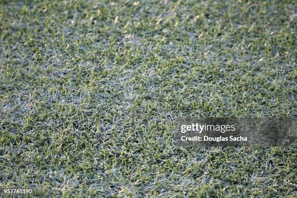 full frame of micro plastic synthetic fibers used in artificial turf playing surface - blacksburg stock pictures, royalty-free photos & images