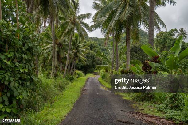 rural road on rarotonga in the cook islands - isole cook foto e immagini stock